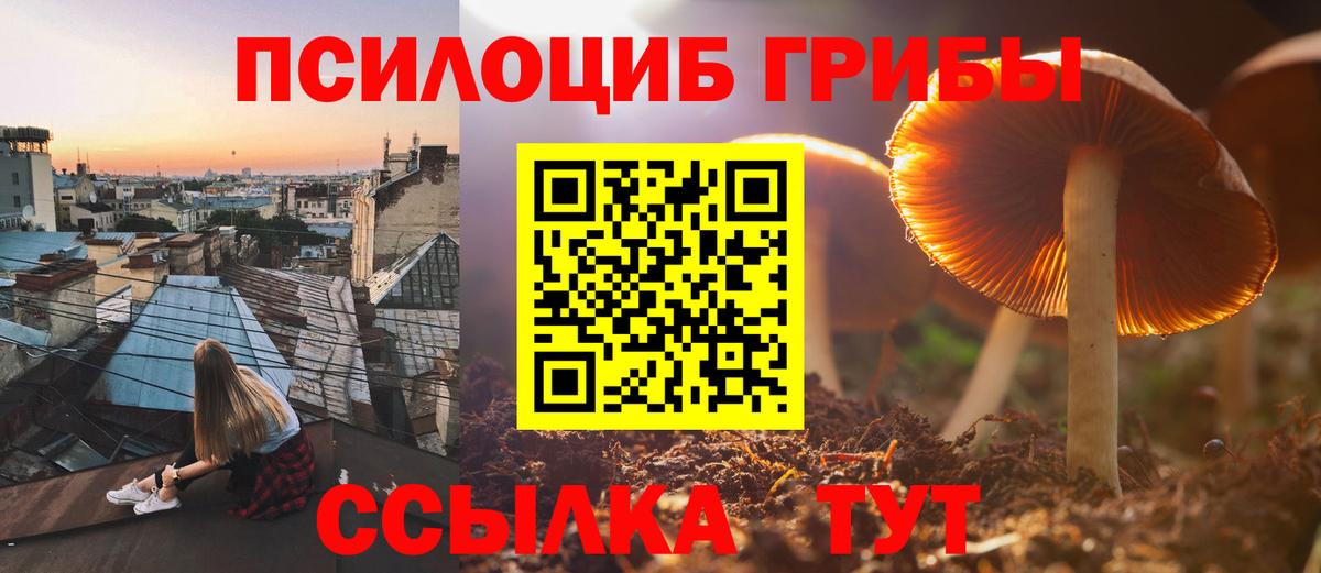 Галлюциногенные грибы Psilocybine cubensis  Вход с VPN  Ливны 
