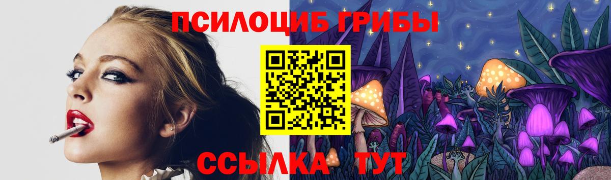 Галлюциногенные грибы Cubensis Ливны